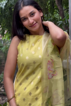 Boat Neck Padded Saree Blouse