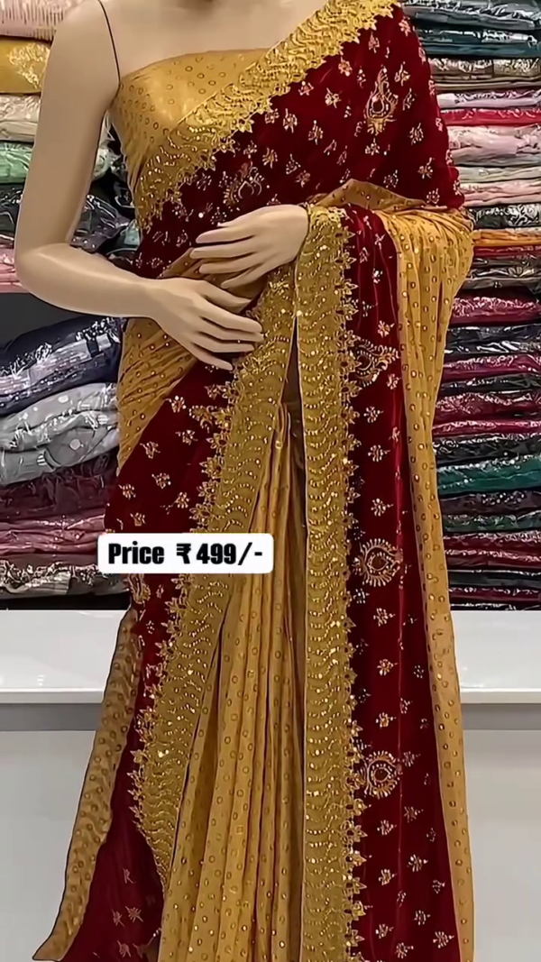 woman's fancy embroidered saree